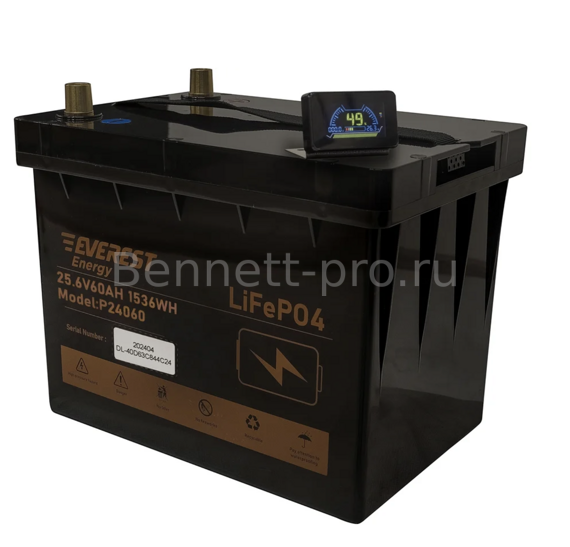 Аккумулятор Everest Energy LiFePO4 24V60Ah + LCD + Bluetooth